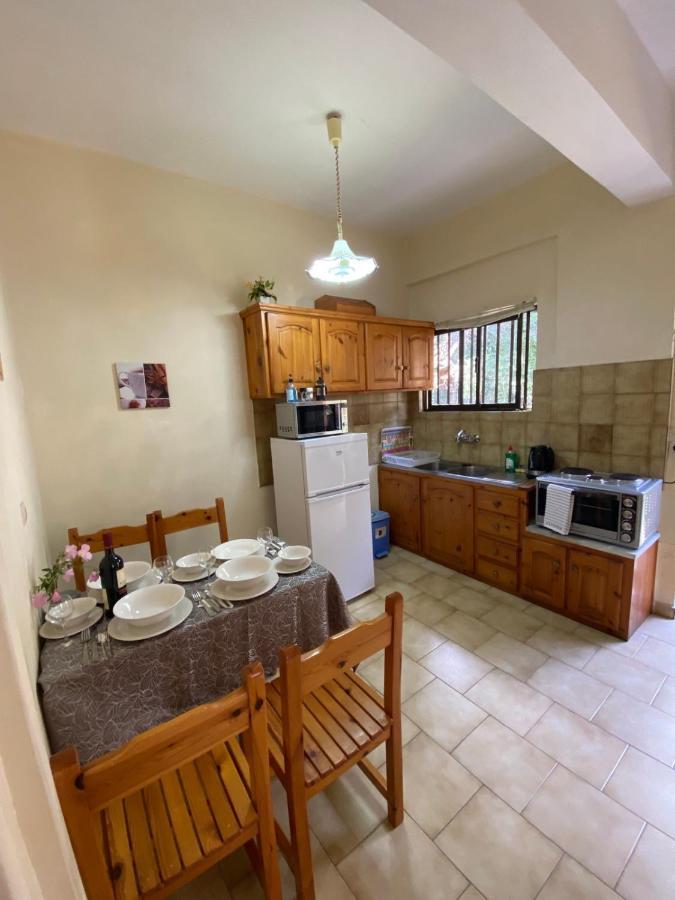 Vasiliki See View Apartments 巴尔巴蒂 外观 照片