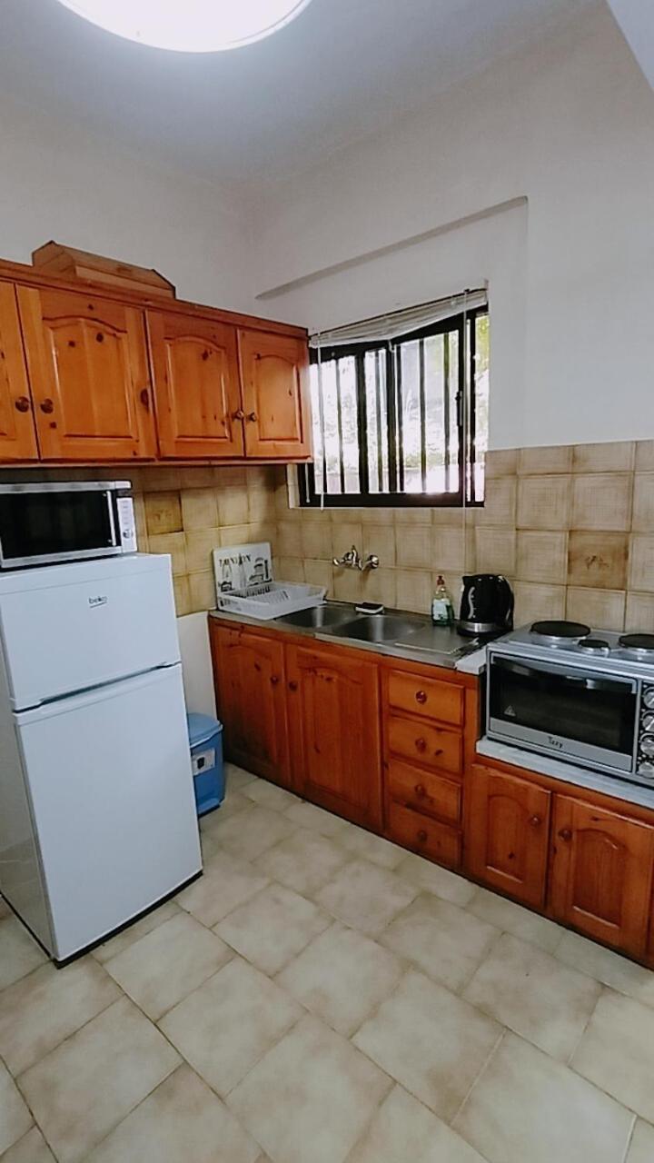 Vasiliki See View Apartments 巴尔巴蒂 外观 照片