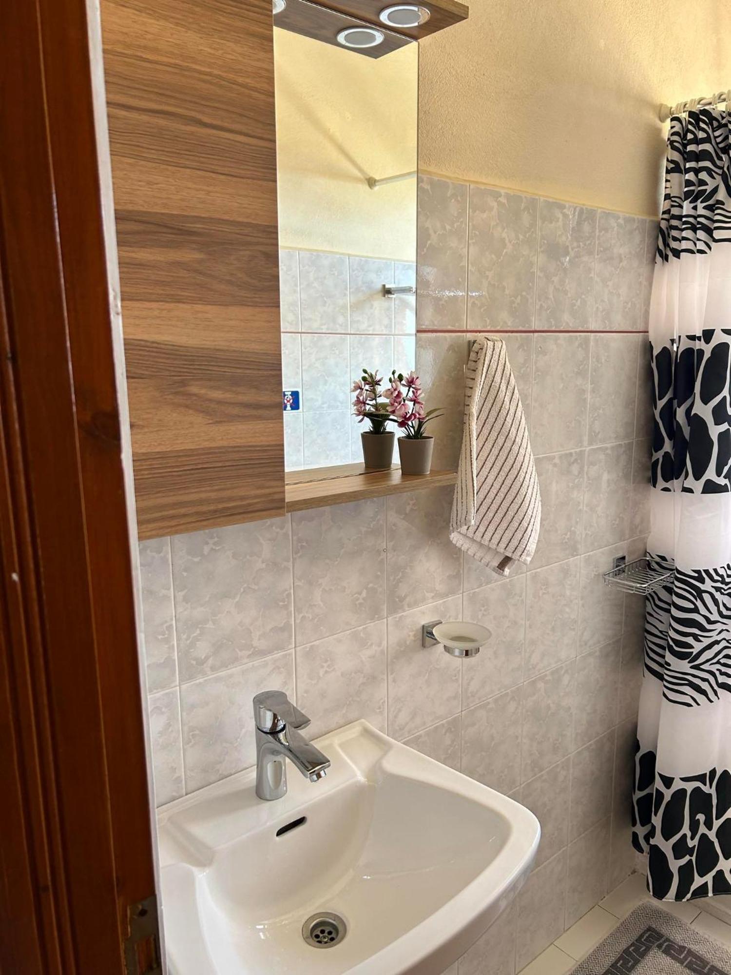 Vasiliki See View Apartments 巴尔巴蒂 外观 照片